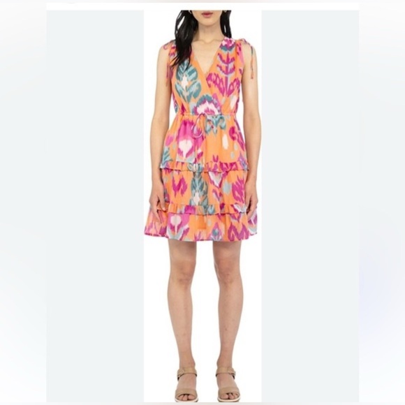 Banjanan Becca Dress - Ikat Floral Spice - Picture 2 of 7